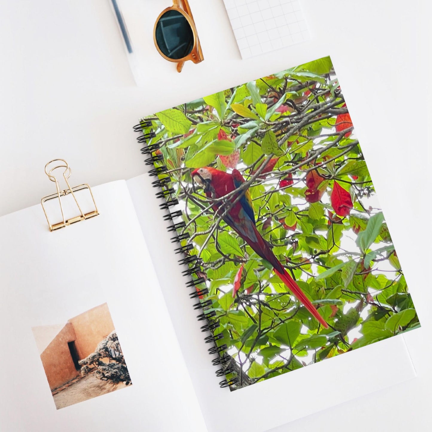 Red Macaw Parrot Notebook Spiral Ruled | Tropical Bird Jungle