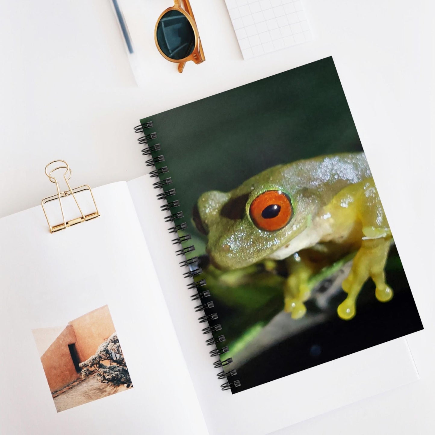 Red-Eyed Tree Frog Spiral Notebook | Ruled Lined Journal