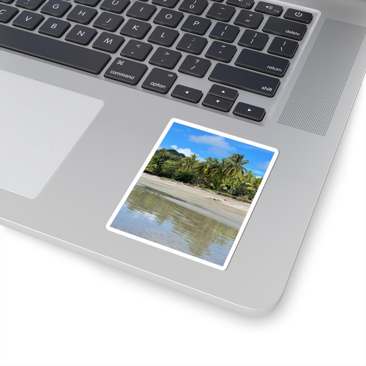 Tropical Palm Beach Sticker | Kiss-Cut Vinyl Beach Scene