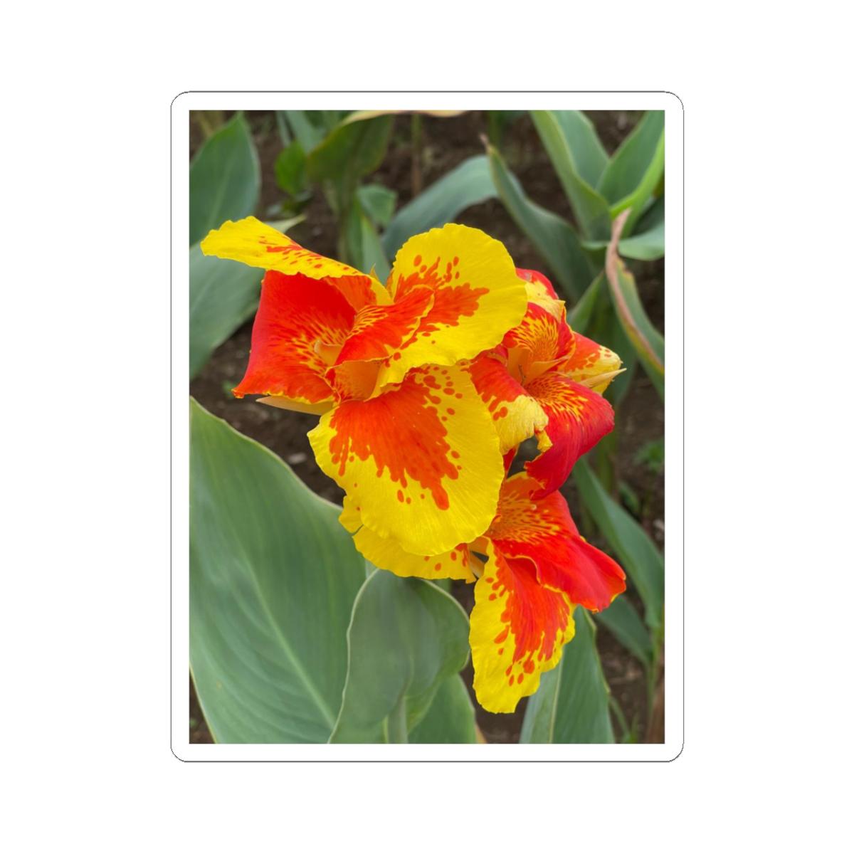 Red and Yellow Canna Lily Sticker | Kiss-Cut Floral Sticker