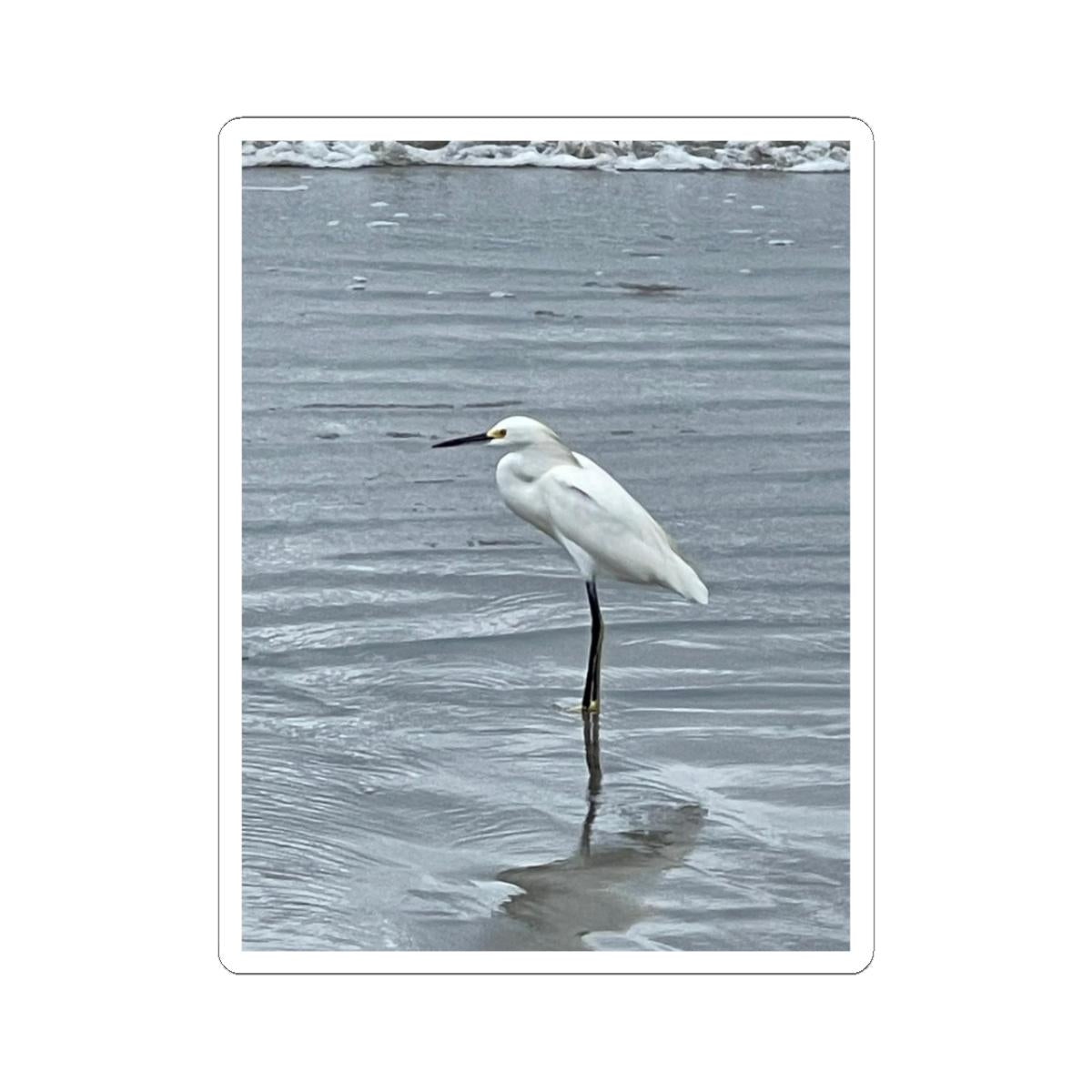 Snowy Egret Sticker | Coastal Bird Photography, Wildlife Sticker