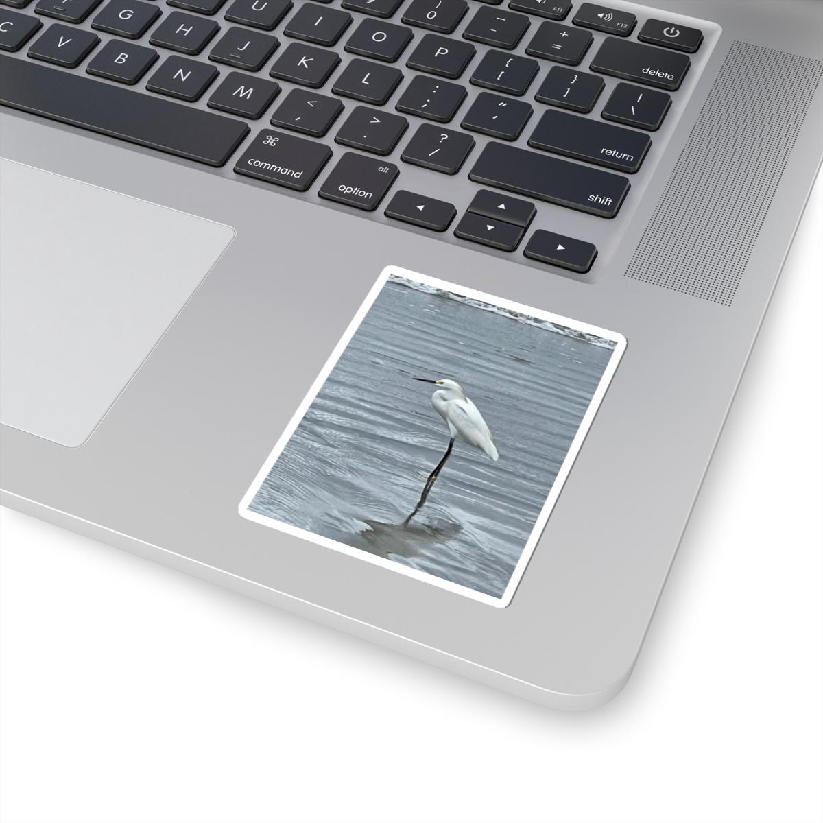 Snowy Egret Sticker | Coastal Bird Photography, Wildlife Sticker