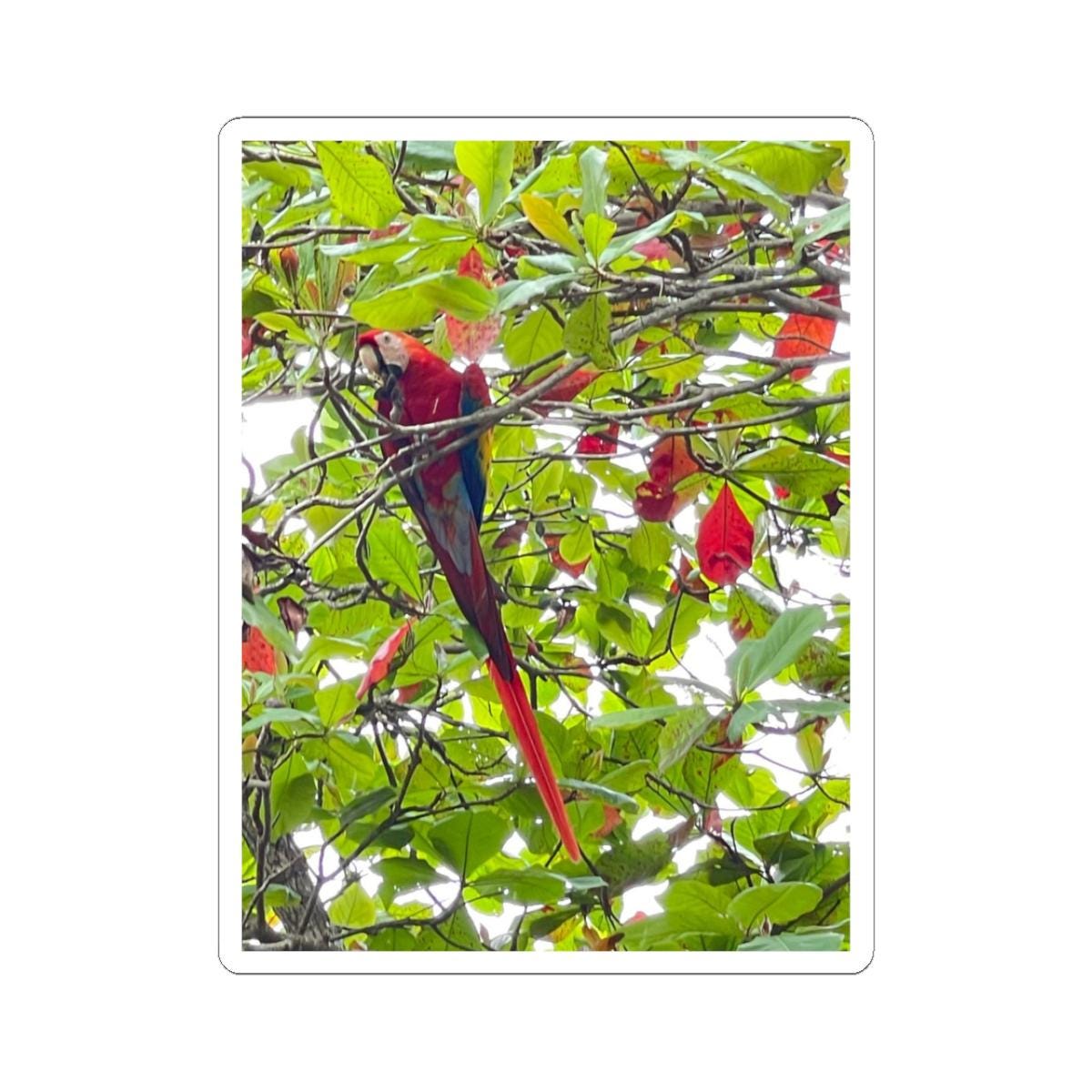 Scarlet Macaw Parrot Sticker | Tropical Bird Kiss-Cut Sticker