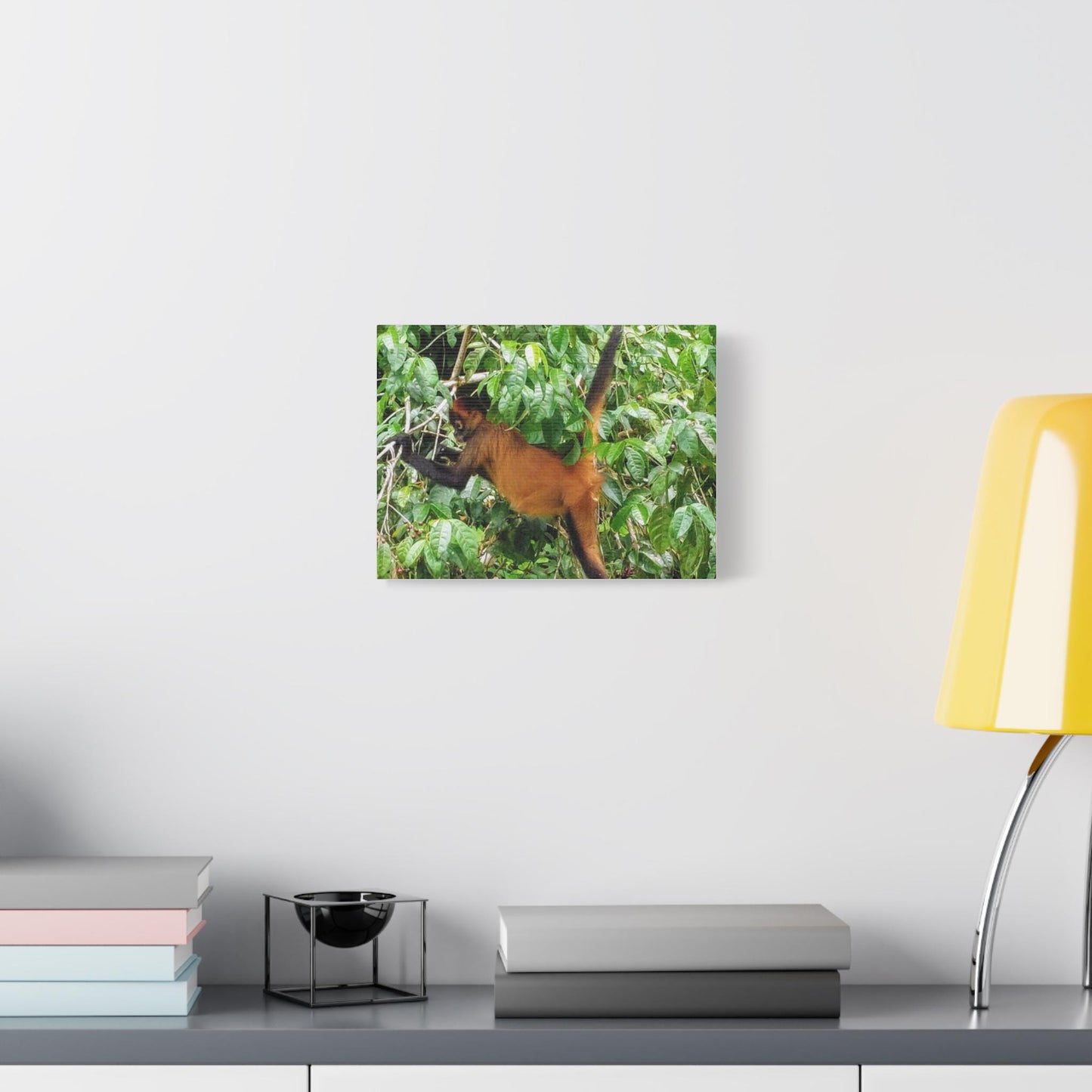 Howler Monkey Canvas