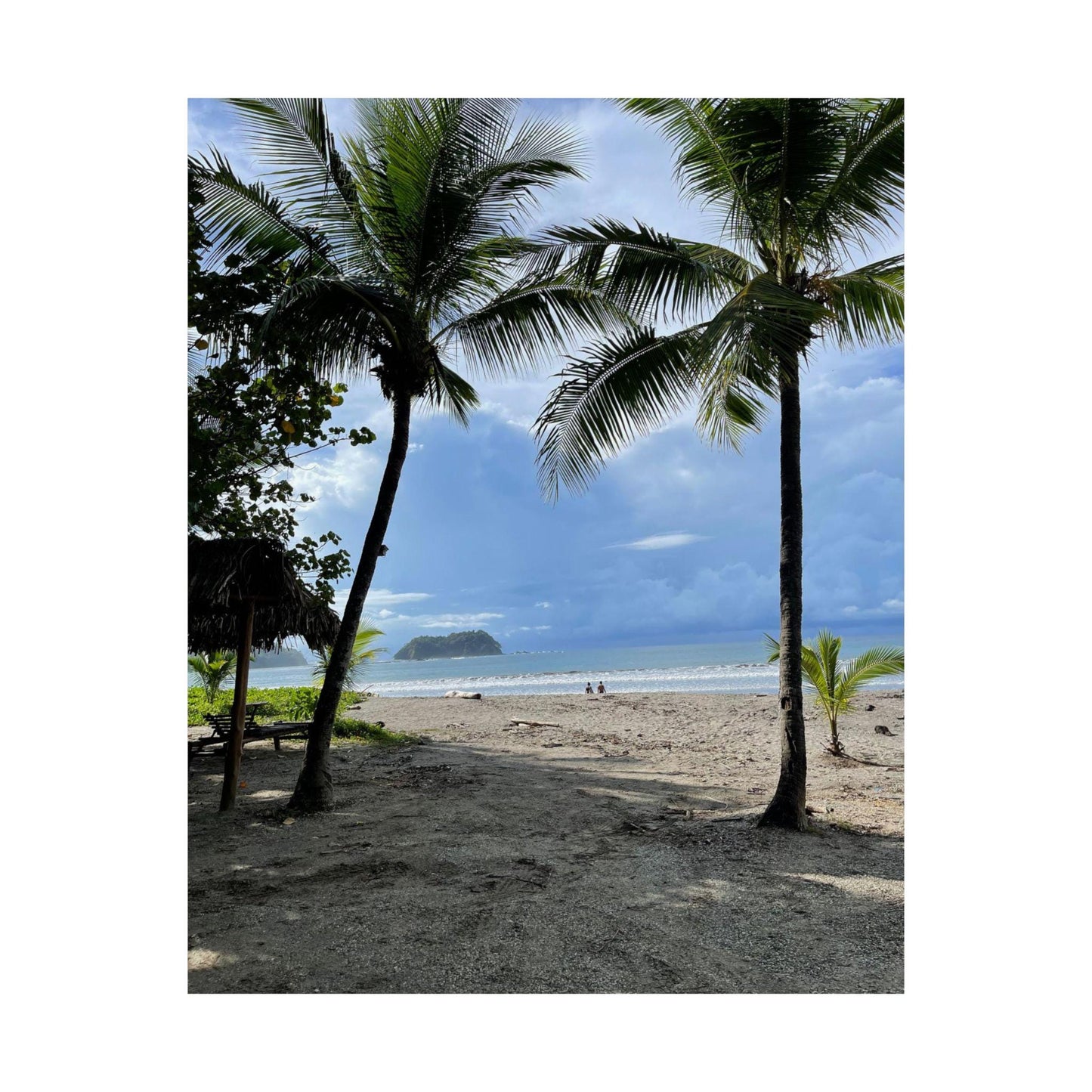 Tropical Palm Beach Scene Matte Vertical Poster | Coastal Wall Art