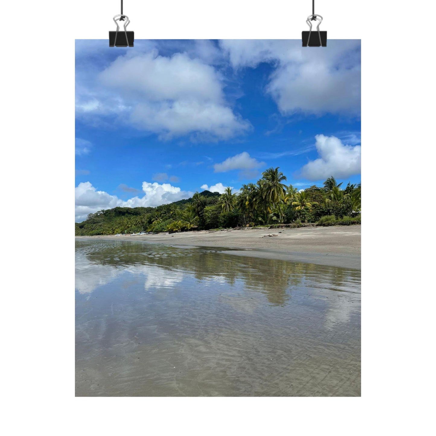Tropical Beach Reflection Poster | Matte Vertical Wall Art, Palm Trees Shoreline