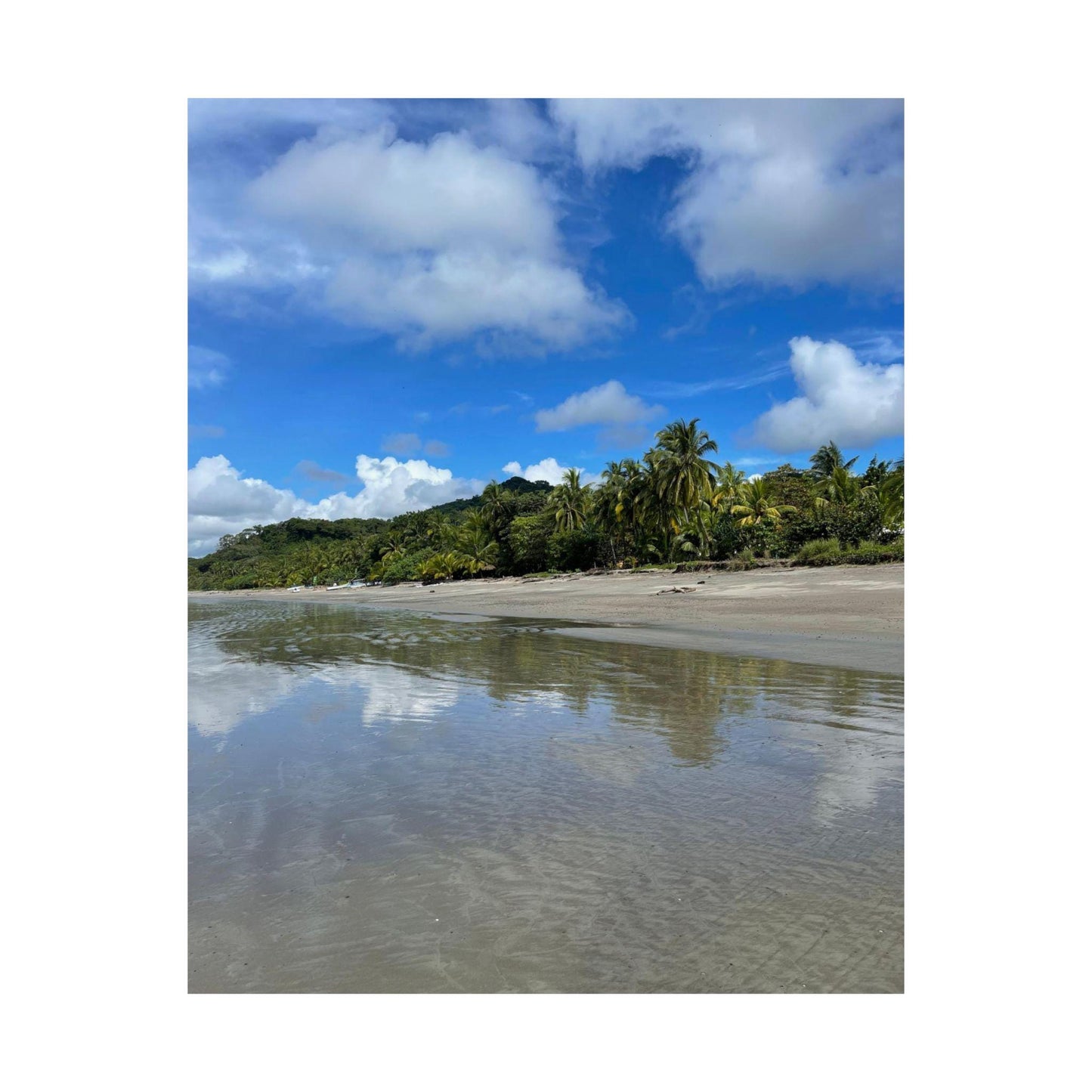Tropical Beach Reflection Poster | Matte Vertical Wall Art, Palm Trees Shoreline