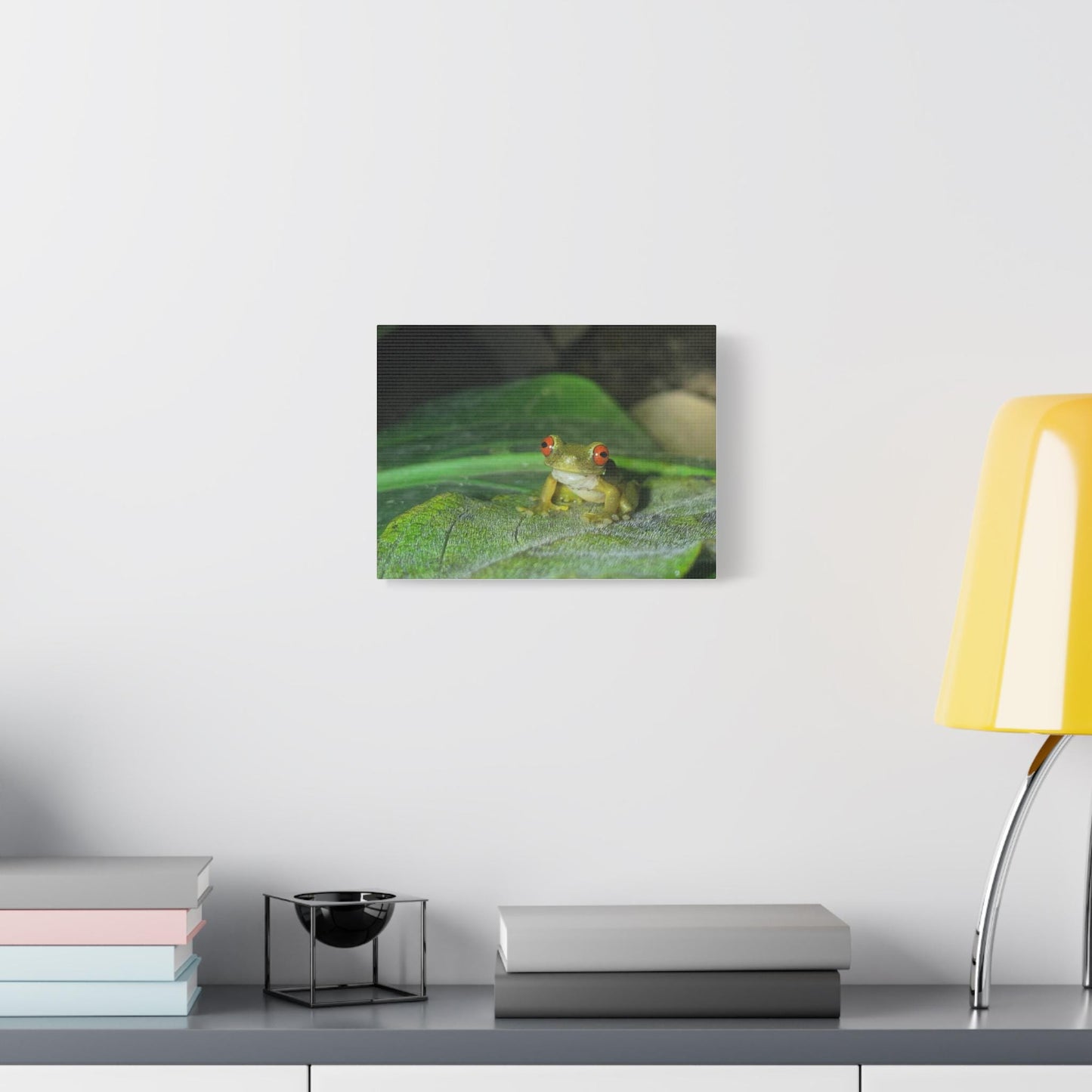Red-Eyed Tree Frog Matte Canvas | Stretched Wall Art