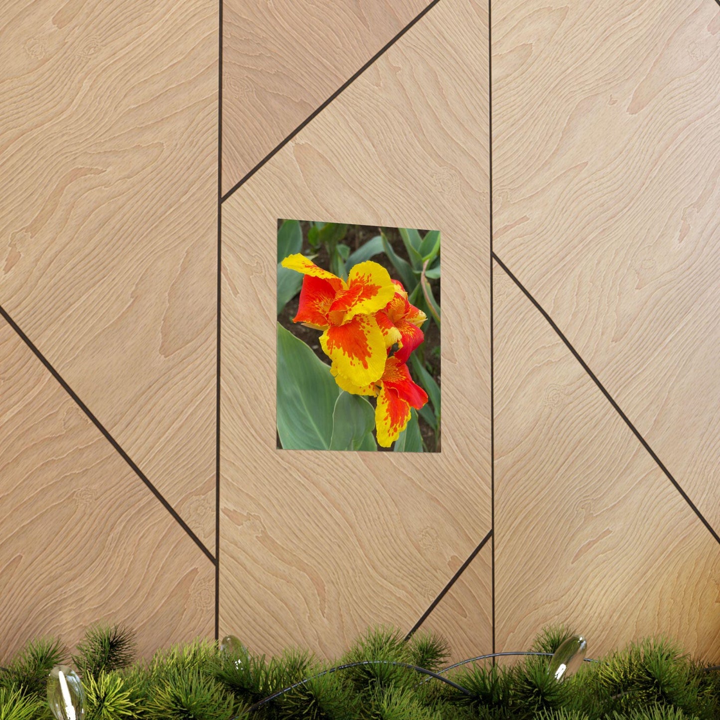 Yellow Red Canna Lily Matte Poster | Floral Wall Art, Botanical Print