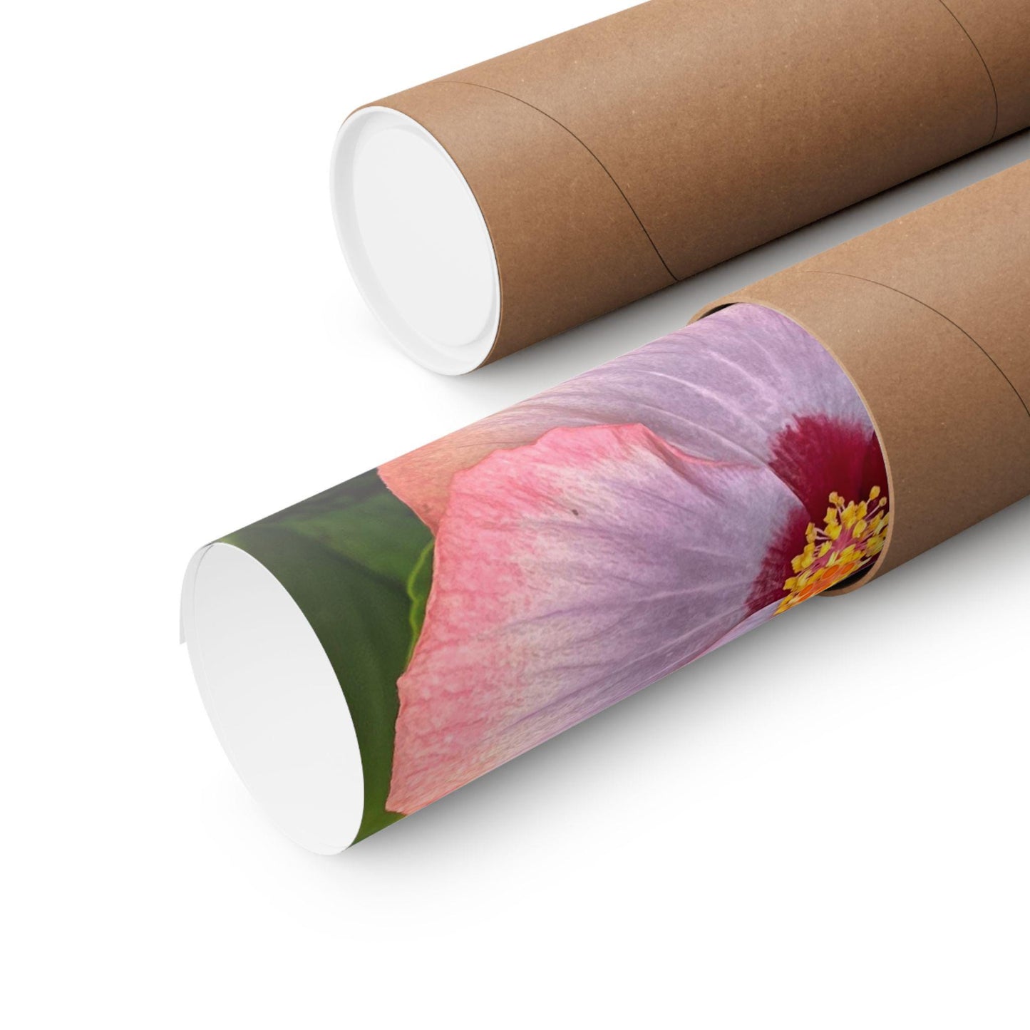 Pink Hibiscus Botanical Matte Poster | Vertical Flower Print
