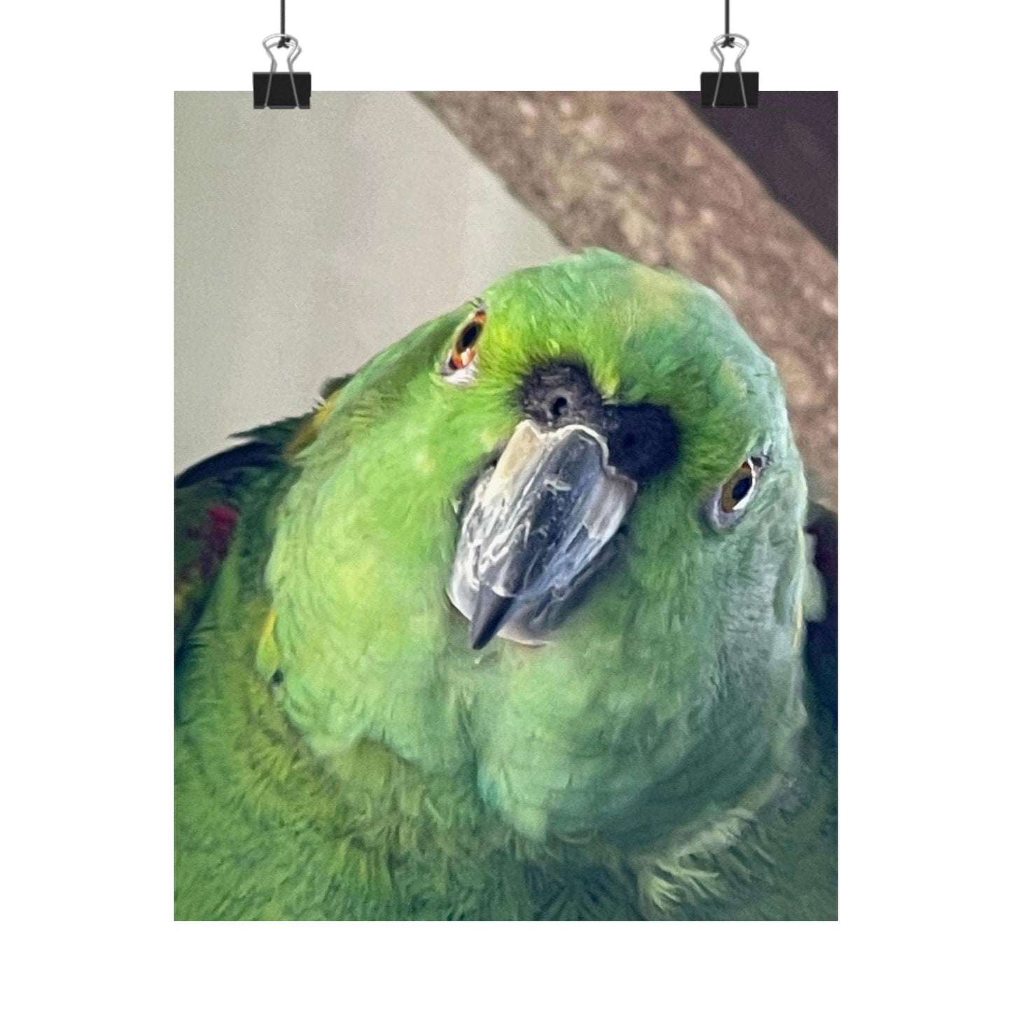 Green Parrot Portrait Matte Vertical Posters | Tropical Bird Wall Art