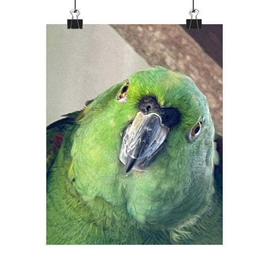 Green Parrot Portrait Matte Vertical Posters | Tropical Bird Wall Art