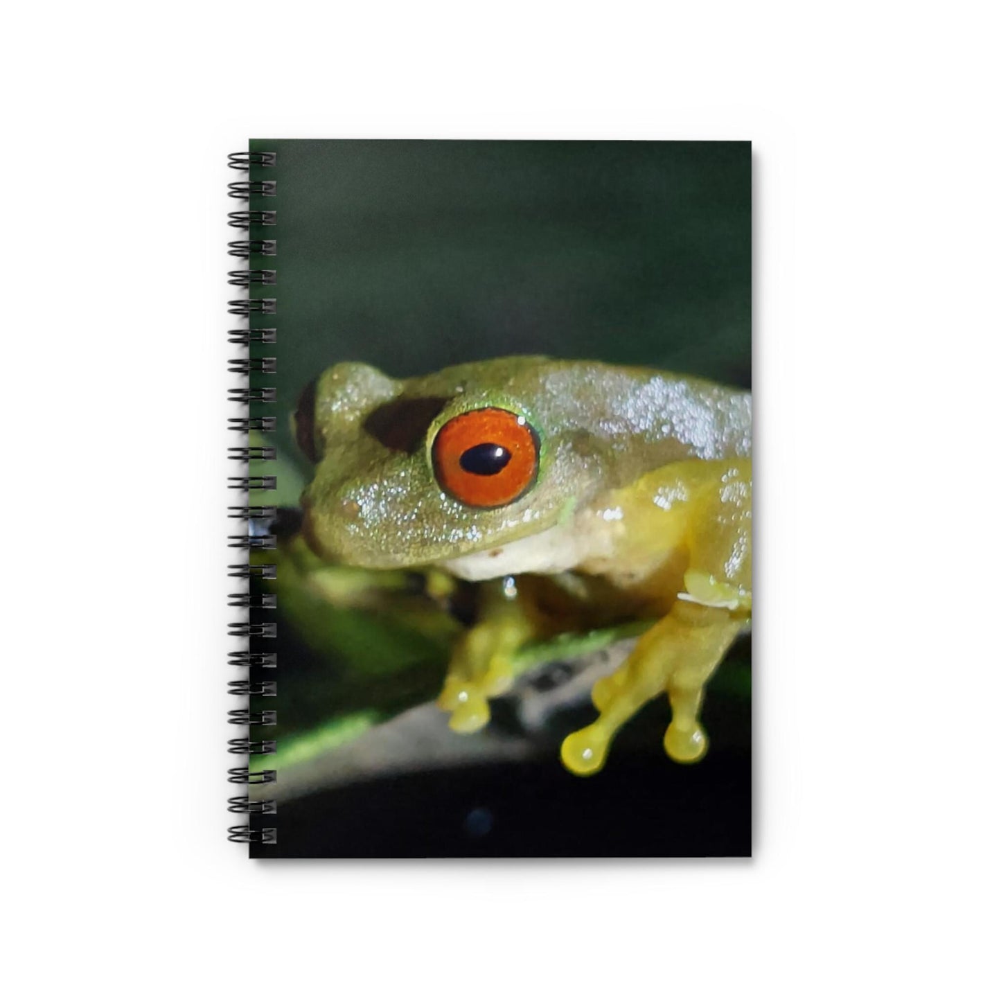 Red-Eyed Tree Frog Spiral Notebook | Ruled Lined Journal
