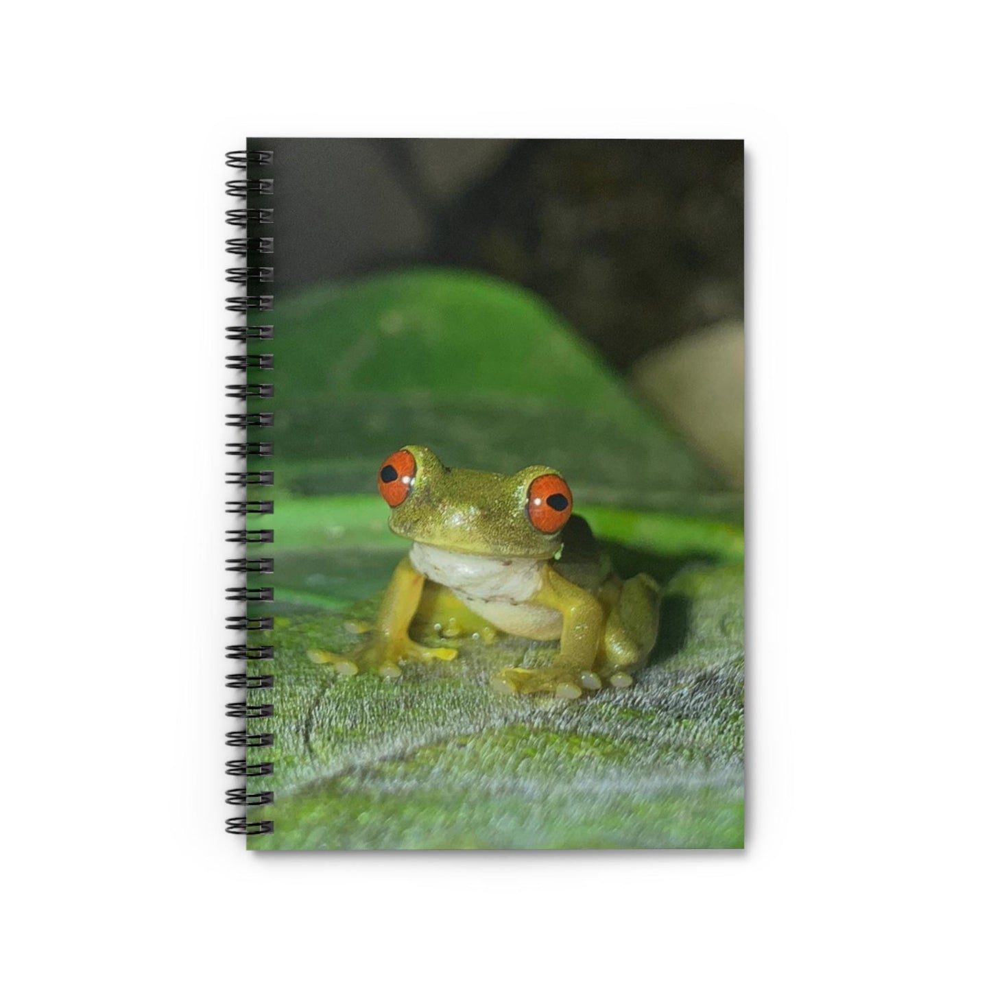 Red-Eyed Tree Frog Spiral Notebook | Ruled Notebook