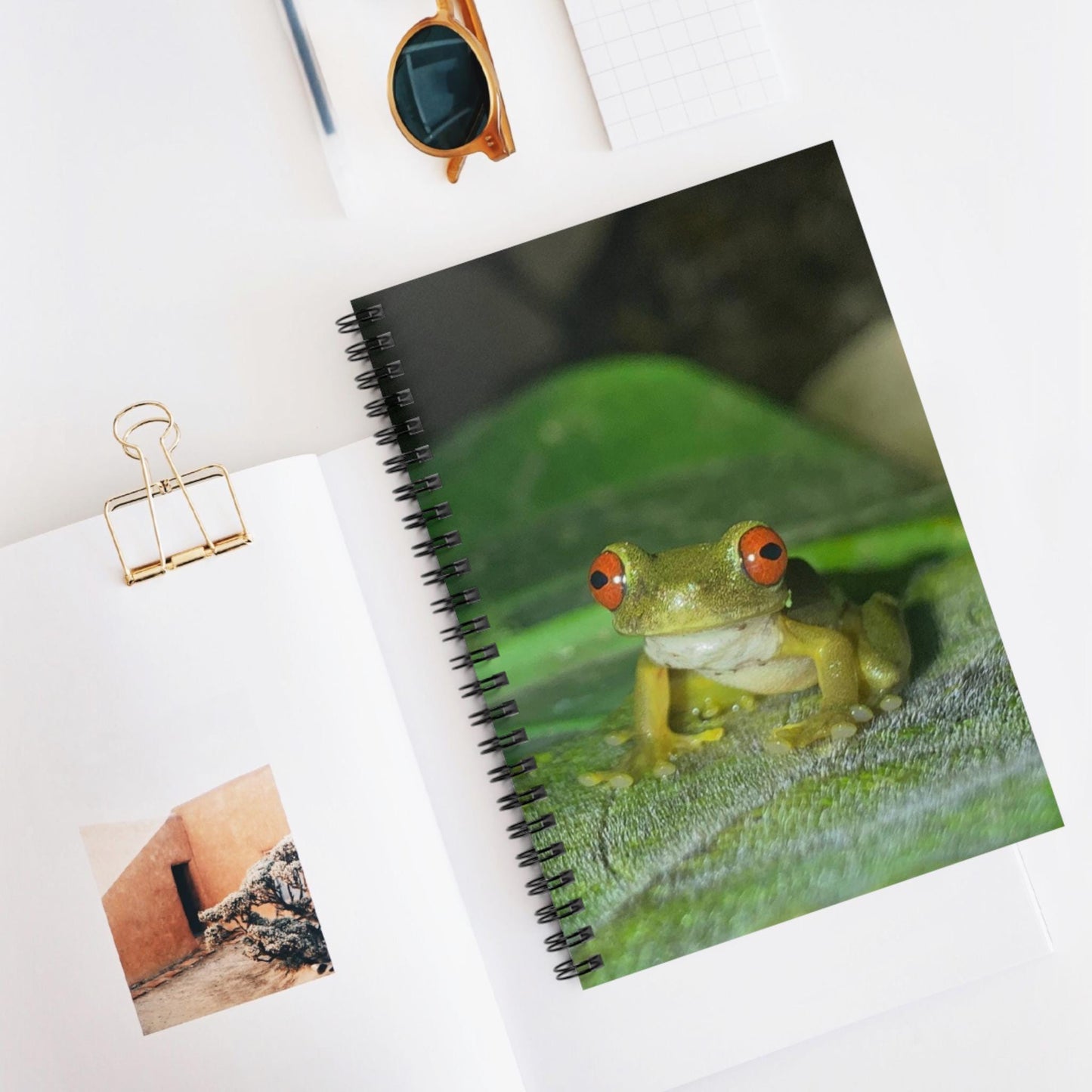 Red-Eyed Tree Frog Spiral Notebook | Ruled Notebook