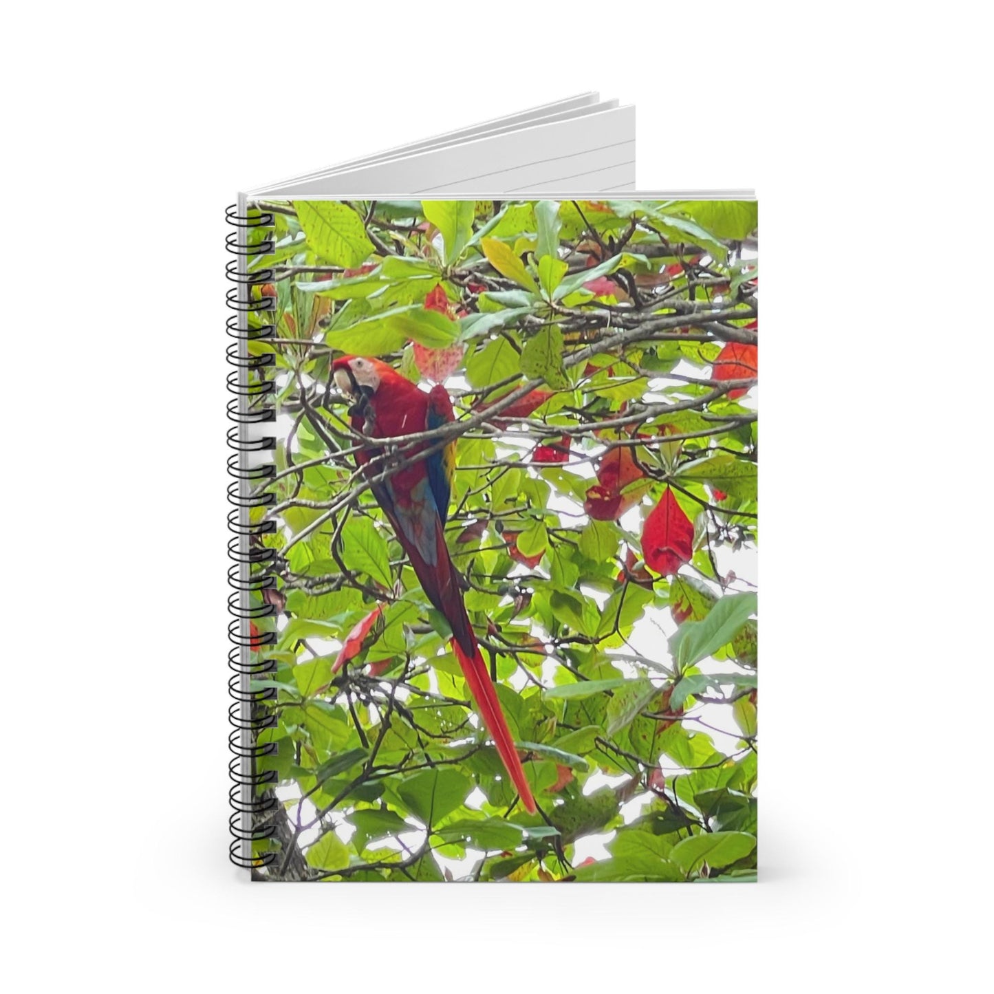 Scarlet Macaw Parrot Spiral Notebook | Tropical Bird Photography, Ruled Pages