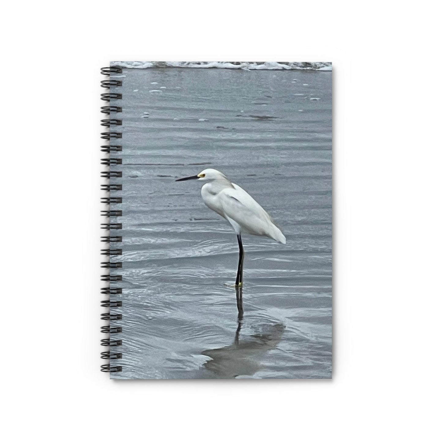 Snowy Egret Standing in Water Spiral Notebook | Ruled Journal