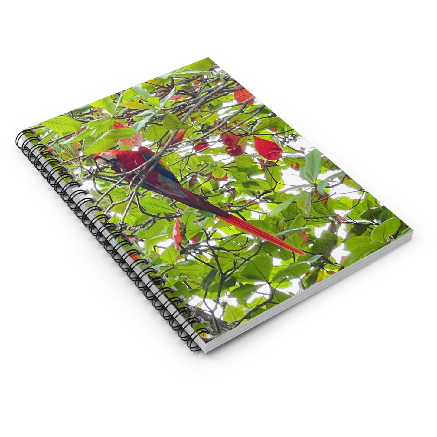 Scarlet Macaw Parrot Spiral Notebook | Tropical Bird Photography, Ruled Pages