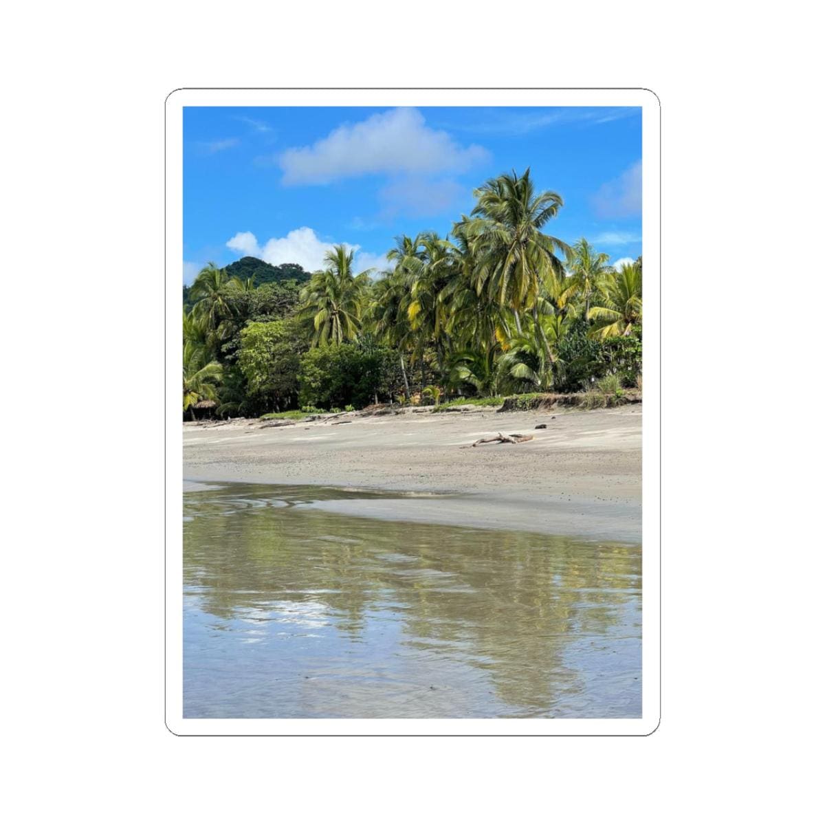 Tropical Palm Beach Sticker | Kiss-Cut Vinyl Beach Scene