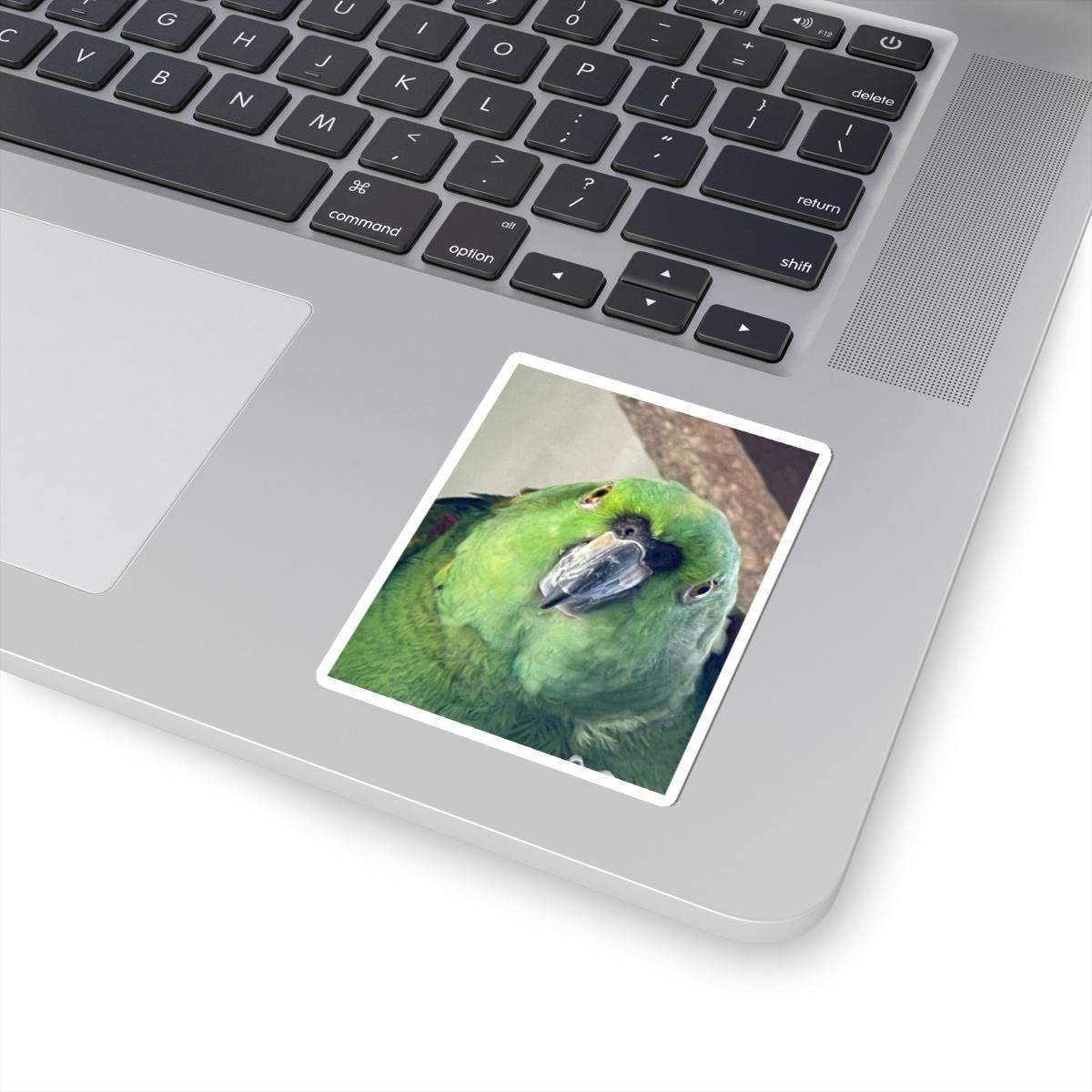Green Parrot Portrait Sticker | Kiss-Cut Vinyl Parrot Decal