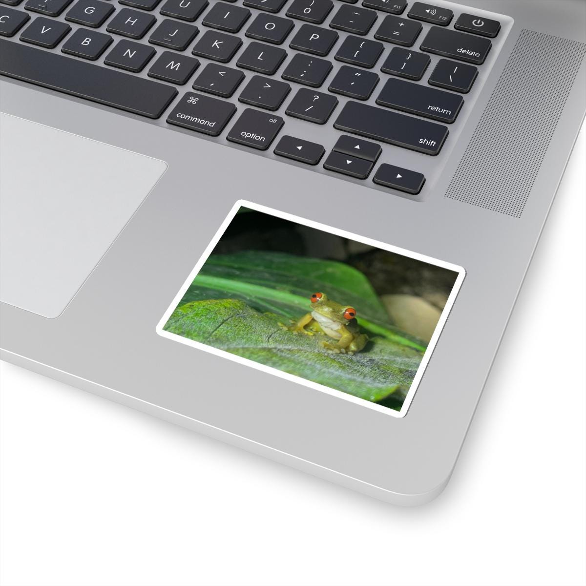 Red-Eyed Tree Frog Sticker | Kiss-Cut Vinyl Frog Laptop Decal