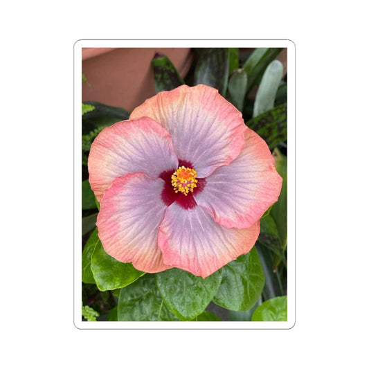 Peach Purple Hibiscus Kiss-Cut Sticker | Floral Laptop Decal