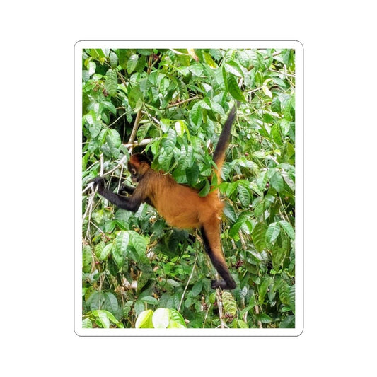 Howler Monkey Sticker | Kiss-Cut Wildlife Sticker, Jungle Animal Decal