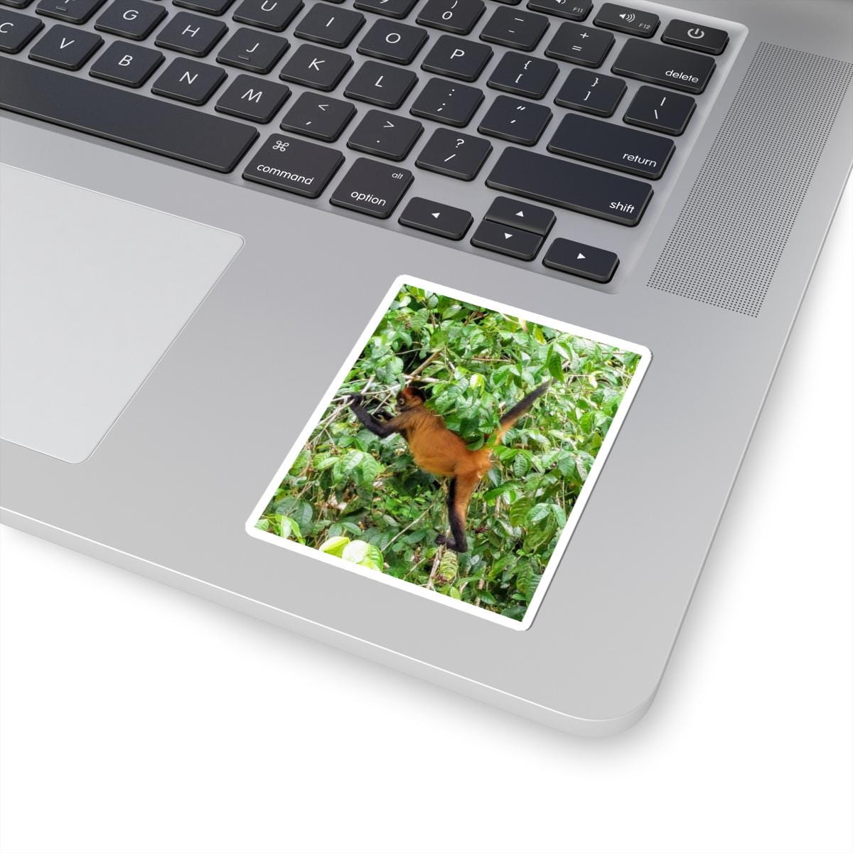 Howler Monkey Sticker | Kiss-Cut Wildlife Sticker, Jungle Animal Decal