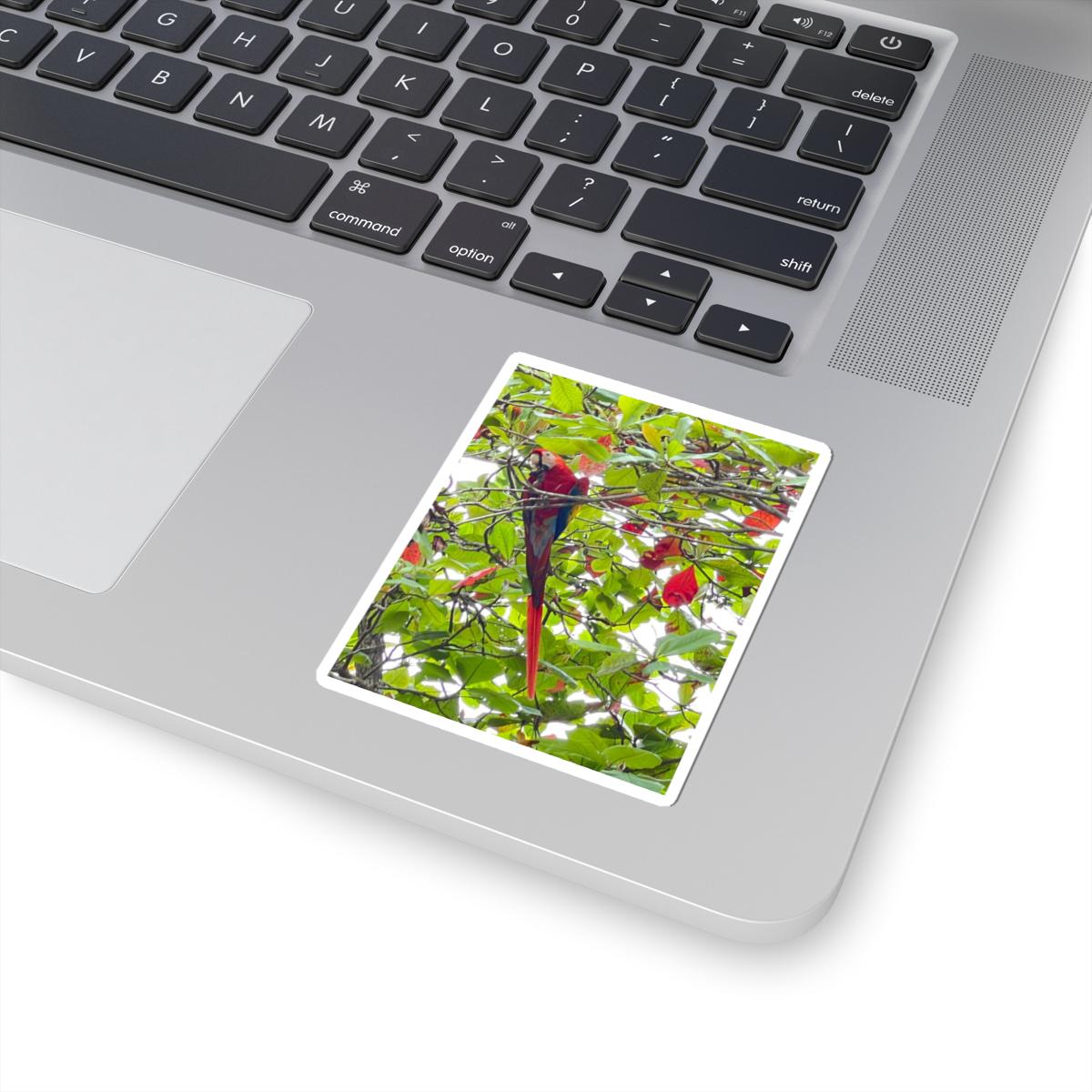 Scarlet Macaw Parrot Sticker | Tropical Bird Kiss-Cut Sticker