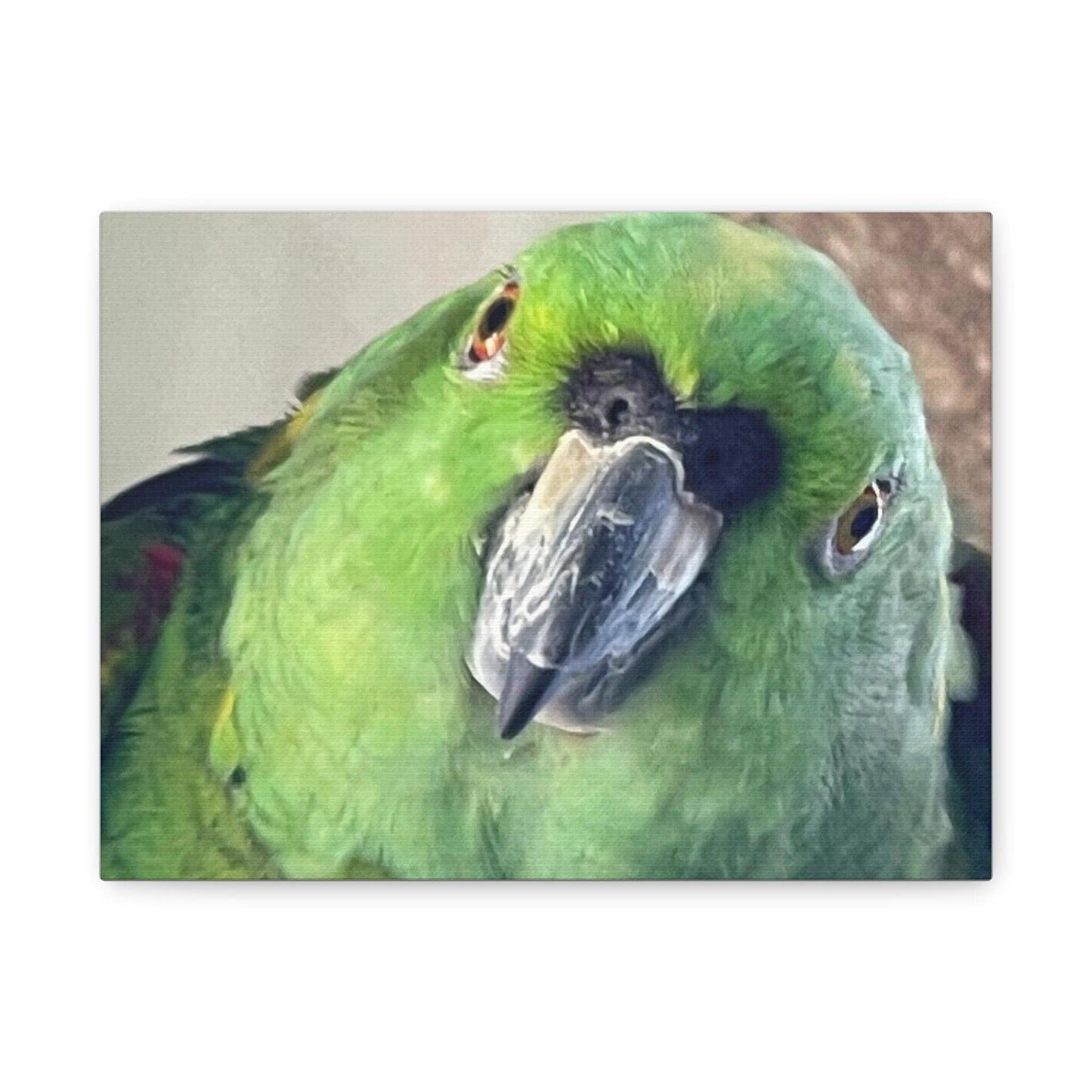 Green Parrot Portrait Matte Canvas