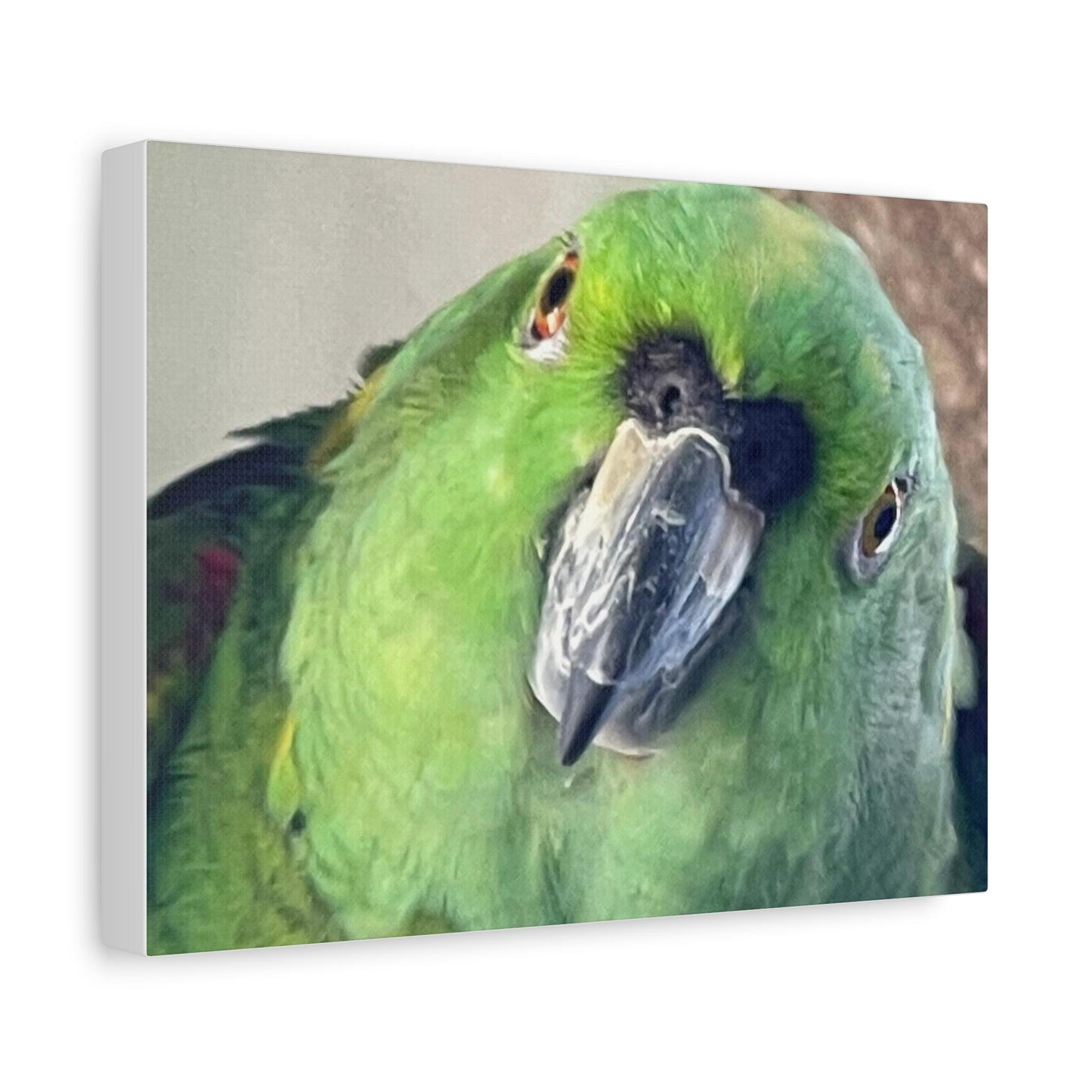 Green Parrot Portrait Matte Canvas