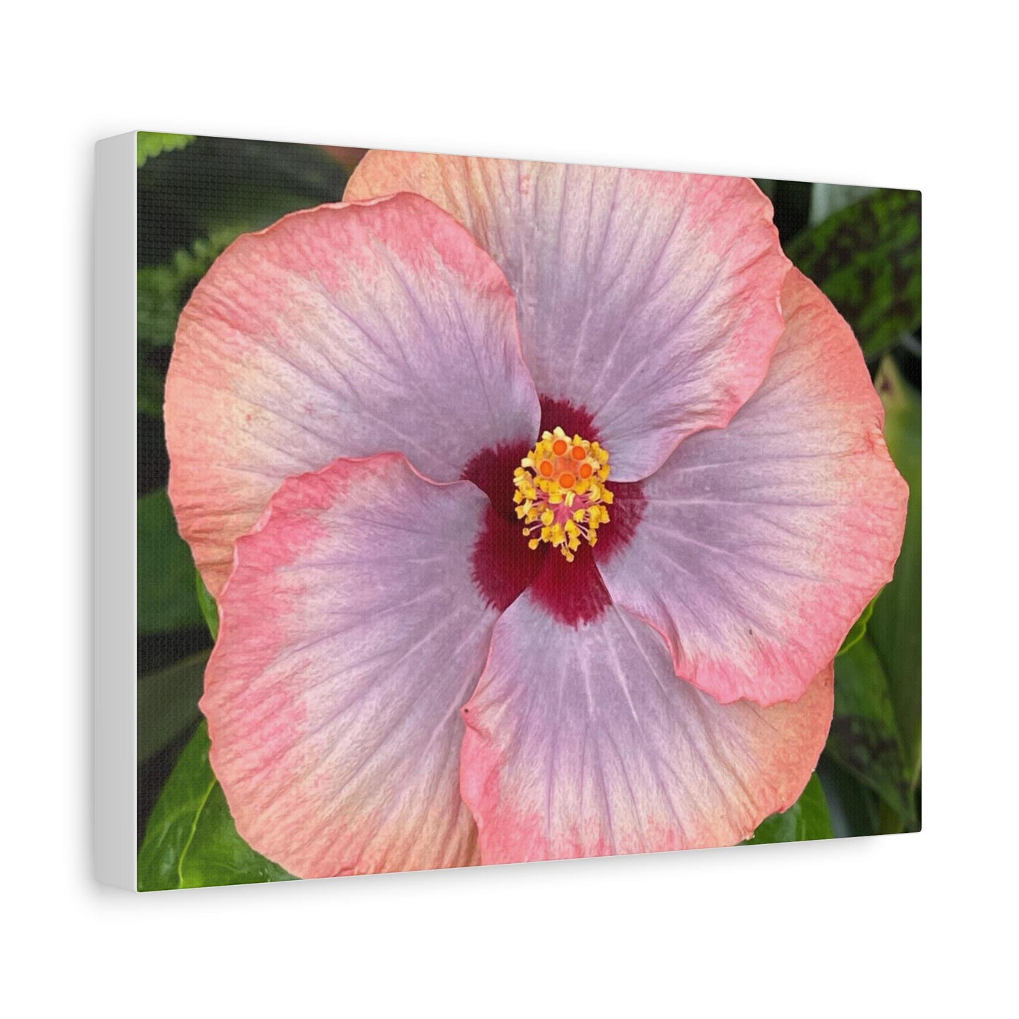 Pink Hibiscus Flower Canvas Print | Matte Stretched Canvas