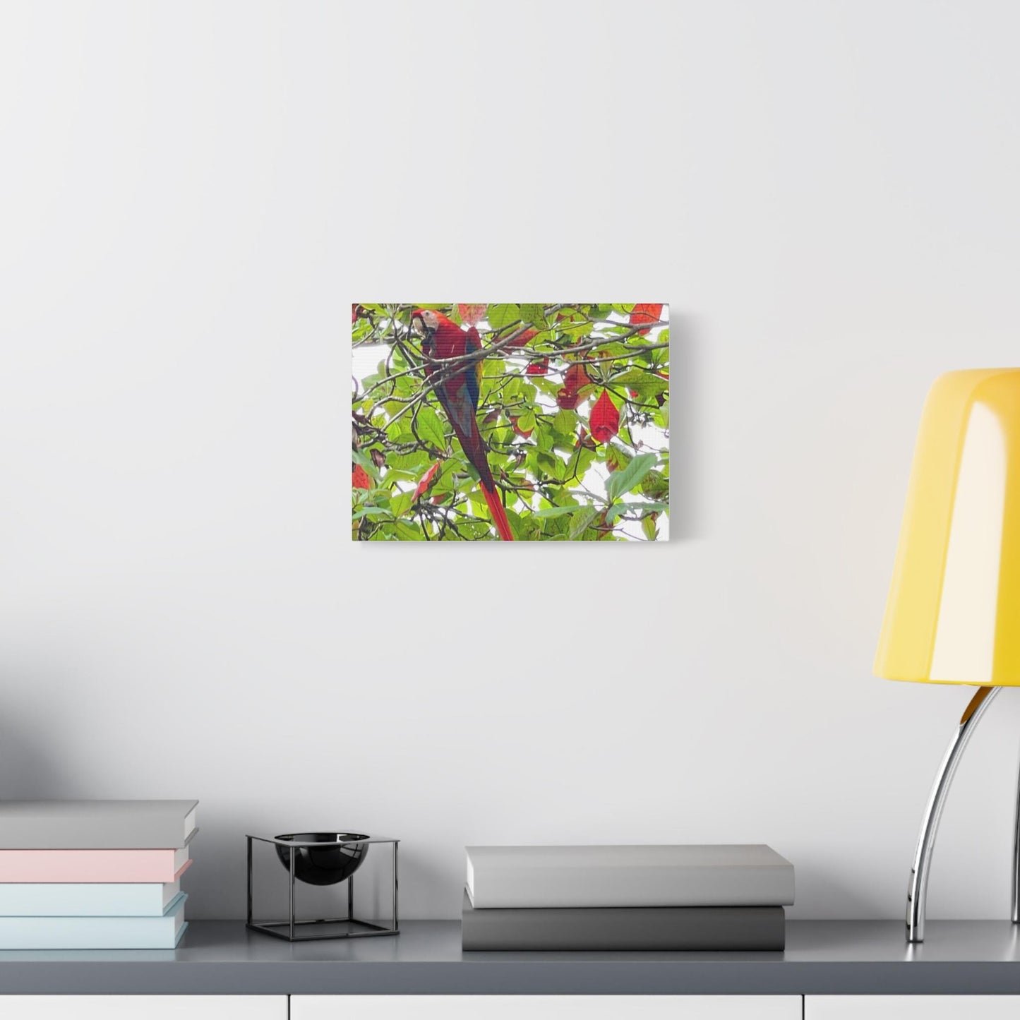 Scarlet Macaw Parrot Canvas