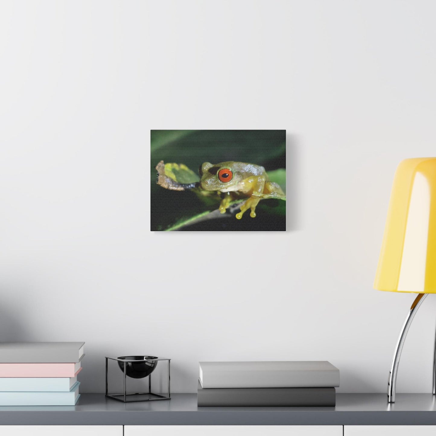 Red-Eyed Tree Frog Canvas | Matte Stretched Wall Art