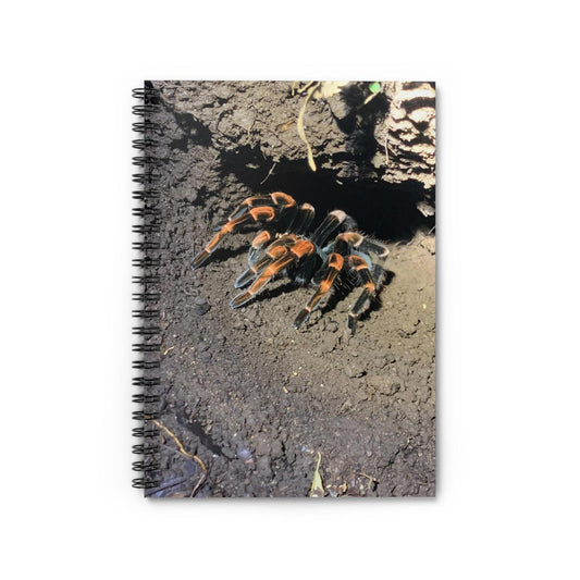 Mexican Redknee Tarantula Spiral Notebook | Ruled Lined Journal