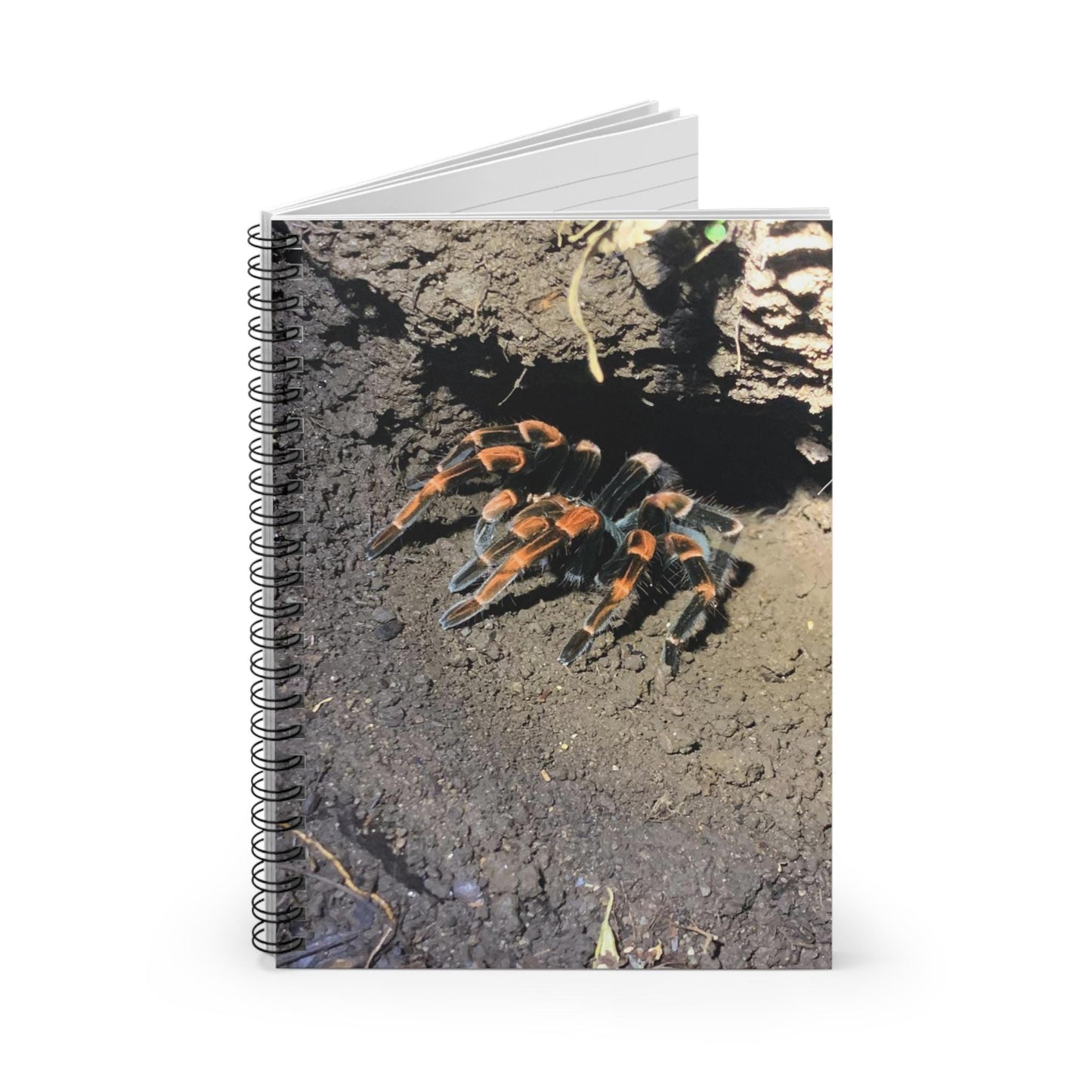 Mexican Redknee Tarantula Spiral Notebook | Ruled Lined Journal