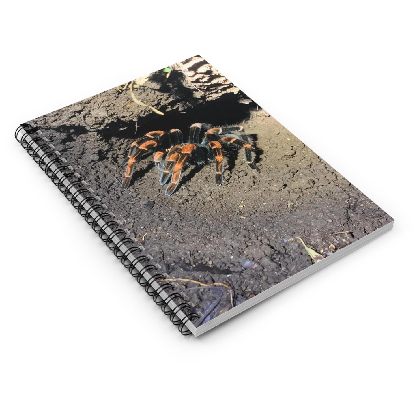Mexican Redknee Tarantula Spiral Notebook | Ruled Lined Journal