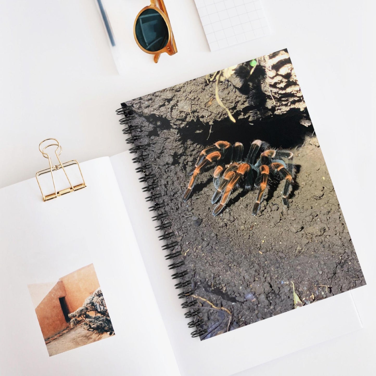 Mexican Redknee Tarantula Spiral Notebook | Ruled Lined Journal