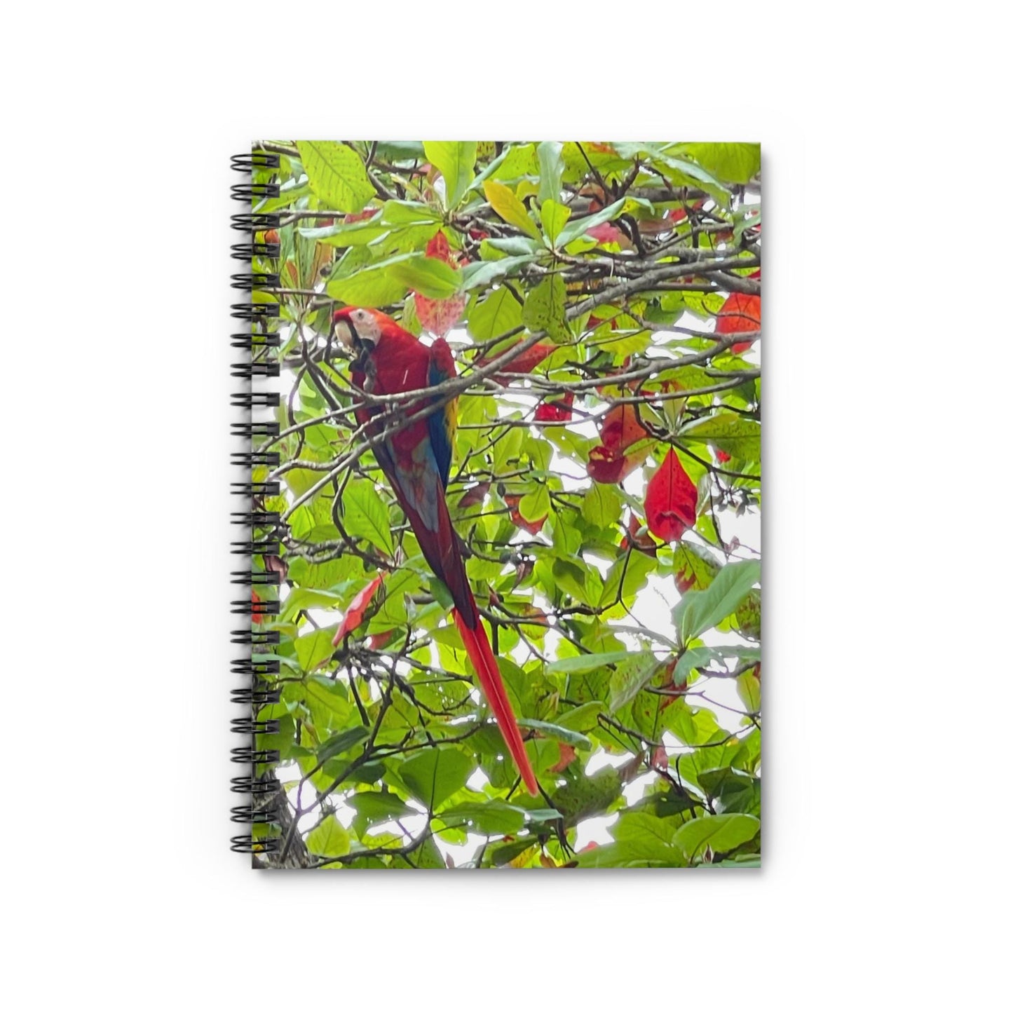 Scarlet Macaw Parrot Spiral Notebook | Tropical Bird Photography, Ruled Pages