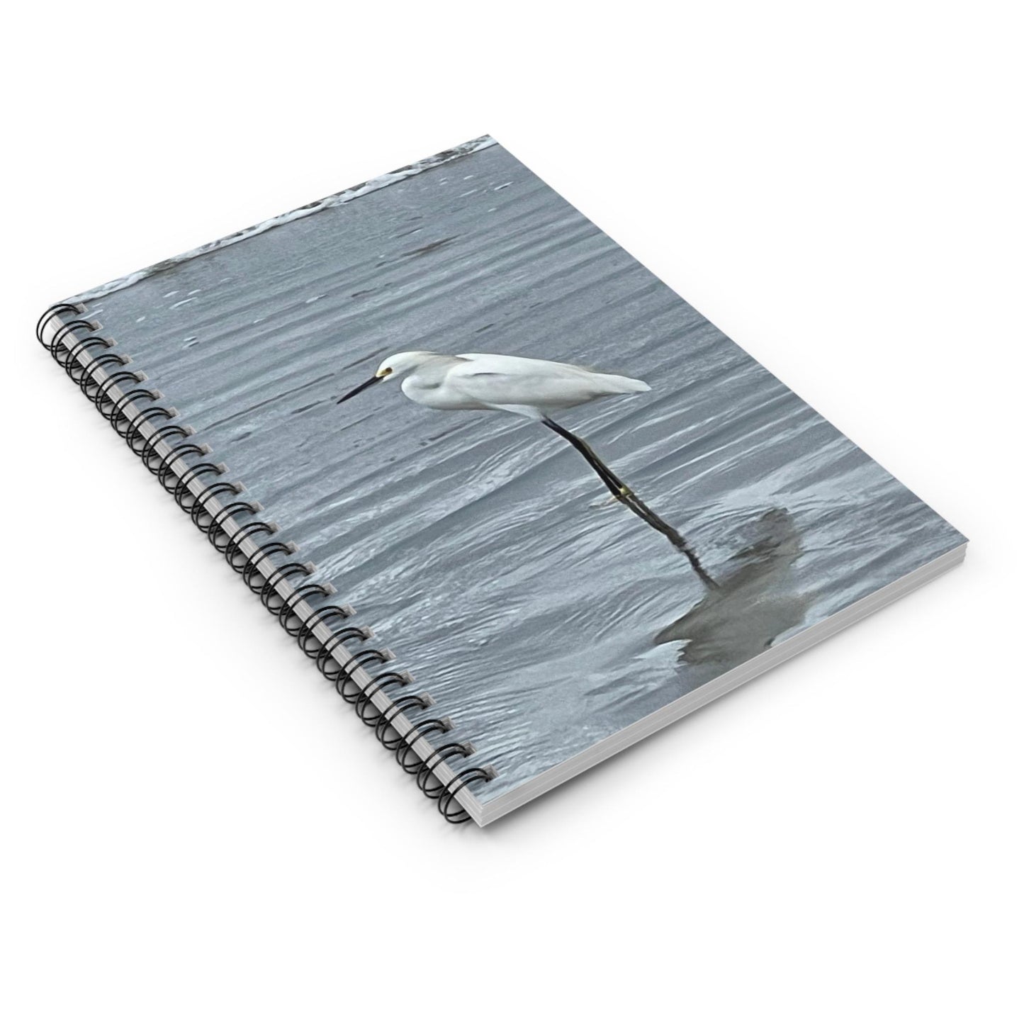 Snowy Egret Standing in Water Spiral Notebook | Ruled Journal