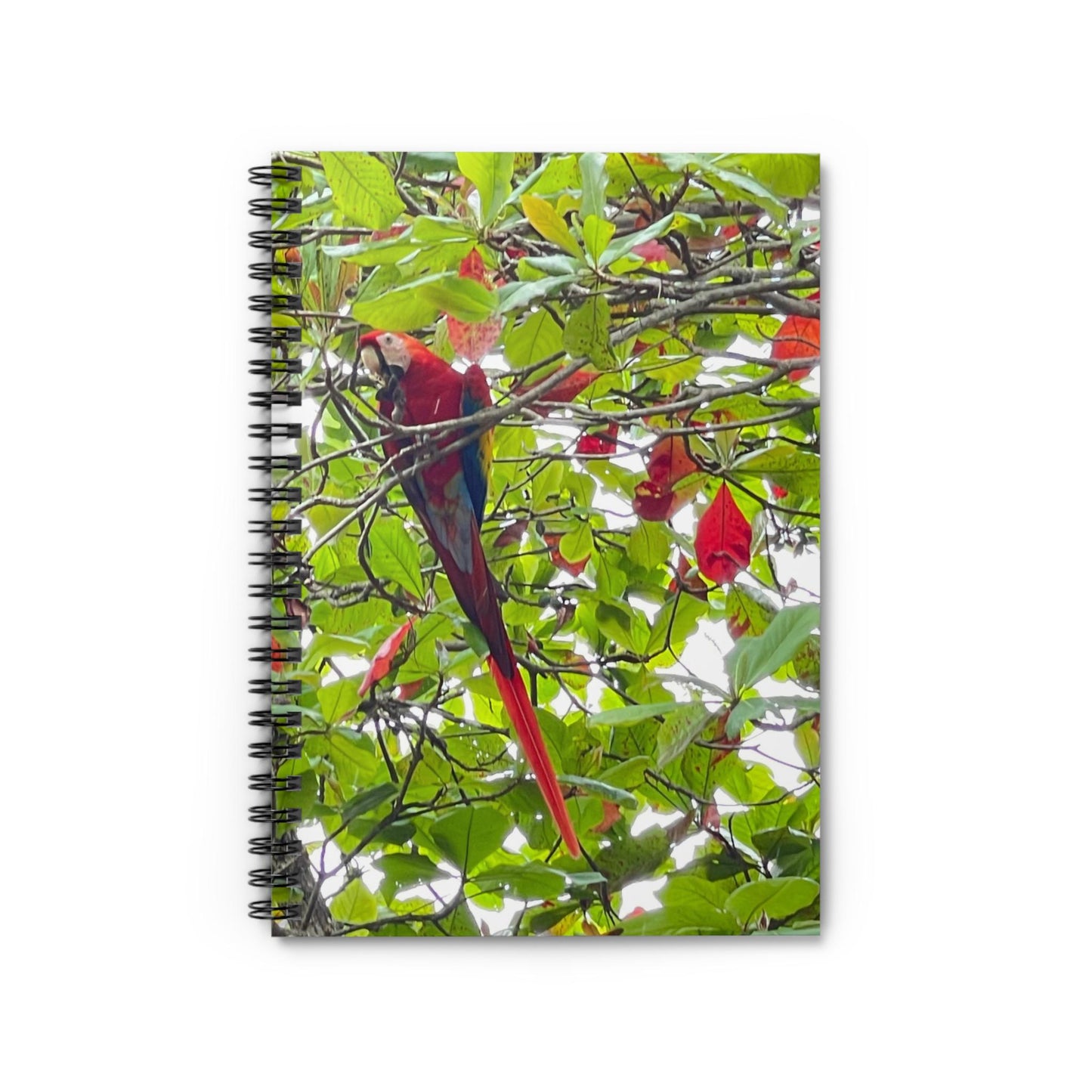 Red Macaw Parrot Notebook Spiral Ruled | Tropical Bird Jungle