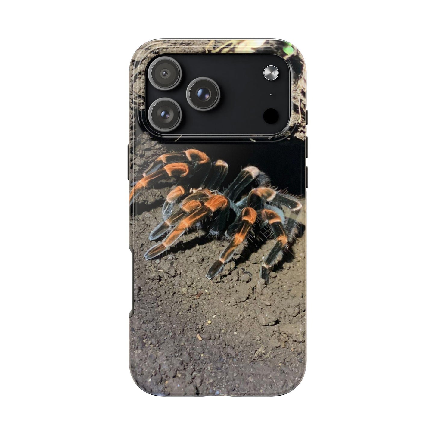 Banded Orange Tarantula iPhone 17 Pro Max Case | Desert Spider Photo