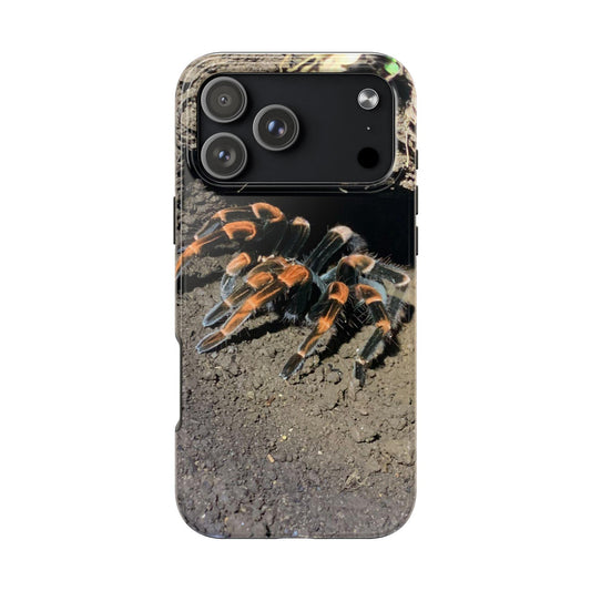 Banded Orange Tarantula iPhone 17 Pro Max Case | Desert Spider Photo