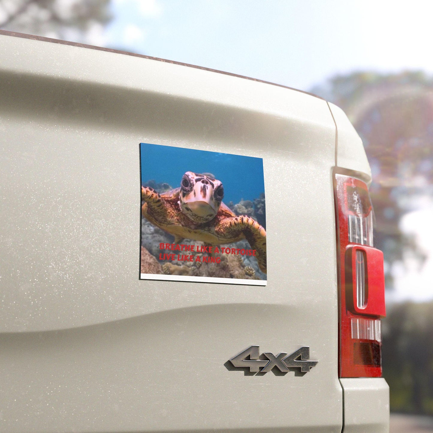 Turtle photo with quote Car Magnet | Breathe like a Tortoise live like a King